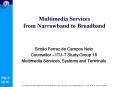 Multimedia Services from Narrowband to Broadband PowerPoint PPT Presentation