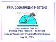 FSEA 2009 SPRING MEETING PowerPoint PPT Presentation