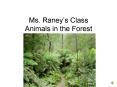 Ms. Raneys Class Animals in the Forest PowerPoint PPT Presentation