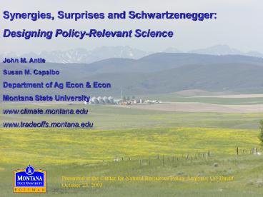 Synergies, Surprises and Schwartzenegger: