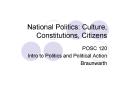 National Politics: Culture, Constitutions, Citizens PowerPoint PPT Presentation