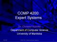 COMP 4200: Expert Systems PowerPoint PPT Presentation