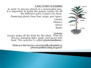 CASE STUDY SCENARIO PowerPoint PPT Presentation