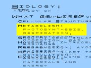 Bacteria Eubacteria