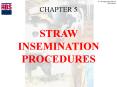 STRAW INSEMINATION PROCEDURES PowerPoint PPT Presentation