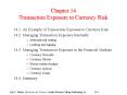 Chapter 14 Transaction Exposure to Currency Risk PowerPoint PPT Presentation