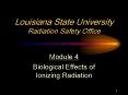 Louisiana State University Radiation Safety Office PowerPoint PPT Presentation