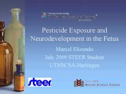 Pesticide Exposure and Neurodevelopment in the Fetus