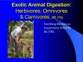 Exotic Animal Digestion: Herbivores, Omnivores PowerPoint PPT Presentation
