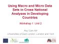 Using Macro and Micro Data Sets in Cross National Analyses in Developing Countries PowerPoint PPT Presentation
