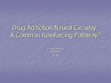 presentation player overlay