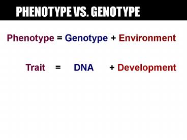 Ppt Phenotype Vs Genotype Powerpoint Presentation Free To View Ppt Phenotype Vs Genotype Powerpoint Presentation Free To View