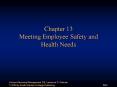Chapter 13 Meeting Employee Safety and Health Needs PowerPoint PPT Presentation