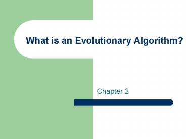 What is an Evolutionary Algorithm
