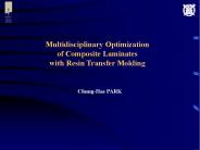 Multidisciplinary Optimization  of Composite Laminates with Resin Transfer Molding