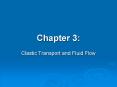 Clastic Transport and Fluid Flow PowerPoint PPT Presentation