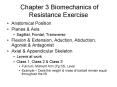 Chapter 3 Biomechanics of Resistance Exercise PowerPoint PPT Presentation