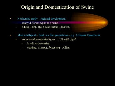 Origin and Domestication of Swine