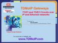 TDMoIP Gateways PowerPoint PPT Presentation