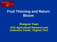Fruit Thinning and Return Bloom PowerPoint PPT Presentation