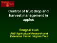 Control of fruit drop and harvest management in apples PowerPoint PPT Presentation