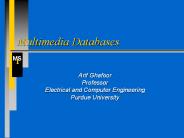 Multimedia Databases