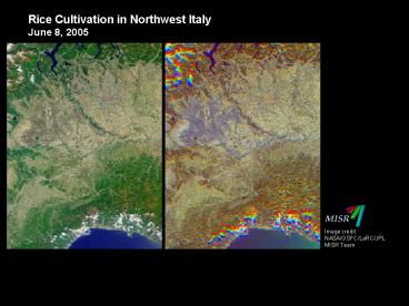 Rice Cultivation in Northwest Italy