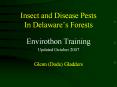 Insect and Disease Pests In Delaware PowerPoint PPT Presentation