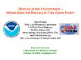 Mercury in the Environment  PowerPoint PPT Presentation