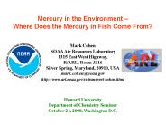 Mercury in the Environment 