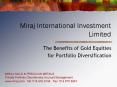 Miraj International Investment Limited PowerPoint PPT Presentation