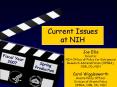 Current Issues at NIH PowerPoint PPT Presentation