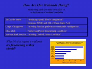 Monitoring birds for their own sake vs.