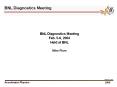BNL Diagnostics Meeting PowerPoint PPT Presentation
