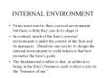 INTERNAL ENVIRONMENT PowerPoint PPT Presentation