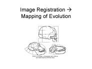 Image Registration ? Mapping of Evolution