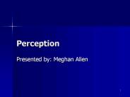 Perception