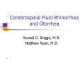Cerebrospinal Fluid Rhinorrhea and Otorrhea PowerPoint PPT Presentation