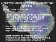 Global Inter-agency IPY Polar Snapshot Year