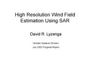 High Resolution Wind Field Estimation Using SAR