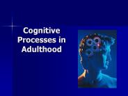 Cognitive Processes in Adulthood