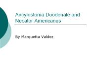 Ancylostoma Duodenale and Necator Americanus