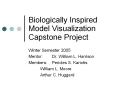 Biologically Inspired Model Visualization Capstone Project PowerPoint PPT Presentation