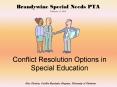 Brandywine Special Needs PTA PowerPoint PPT Presentation
