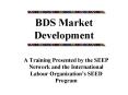 BDS Market Development PowerPoint PPT Presentation