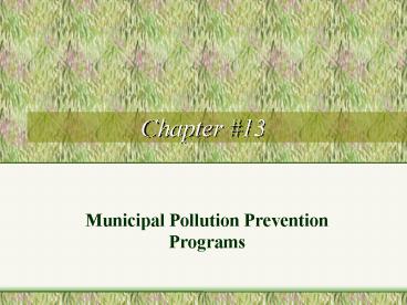 Municipal Pollution Prevention Programs