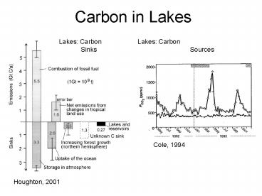 Carbon in Lakes
