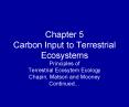 Chapter 5 Carbon Input to Terrestrial Ecosystems PowerPoint PPT Presentation