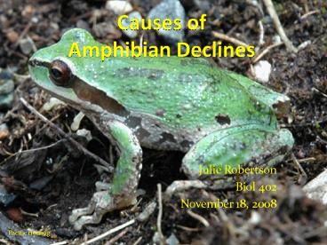 Causes of Amphibian Declines