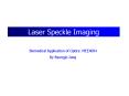 Laser Speckle Imaging PowerPoint PPT Presentation